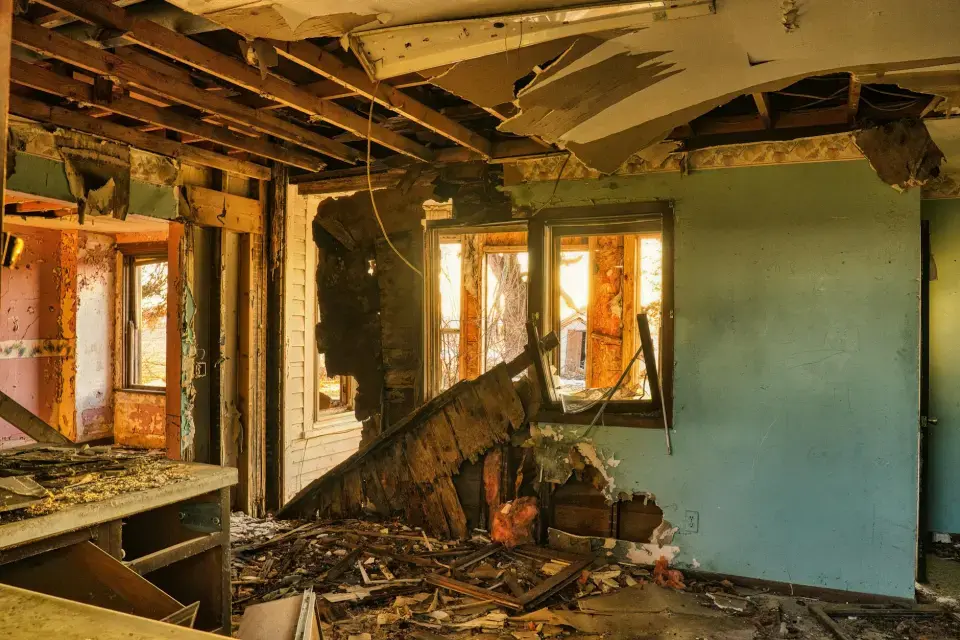 Roswell's Leading Mold Removal and Remediation Company — Roswell, GA